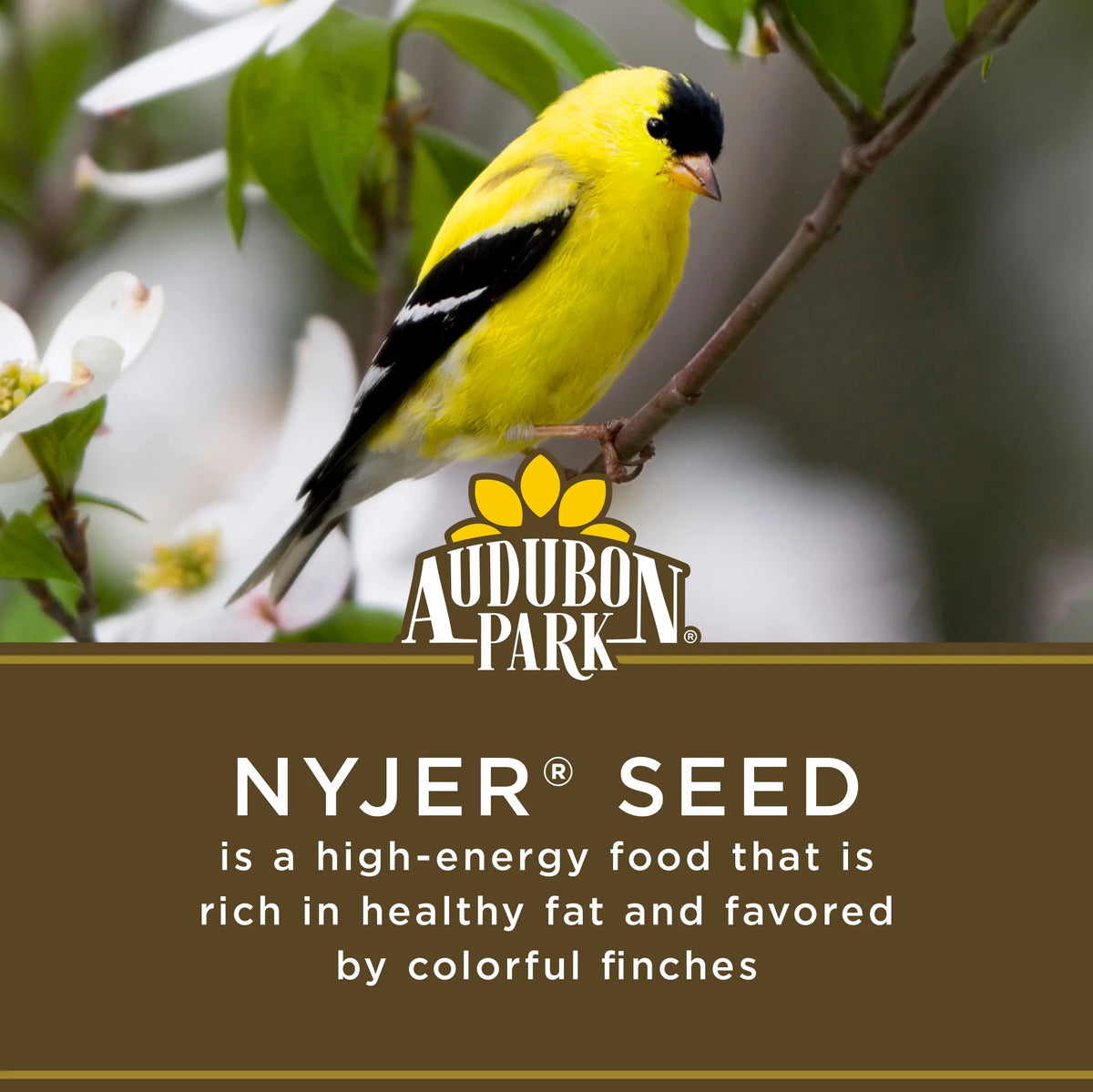 Nyjer Seed Wild Bird Food, 15 lb. Bag L9845