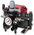 Diaphragm Pump B125570