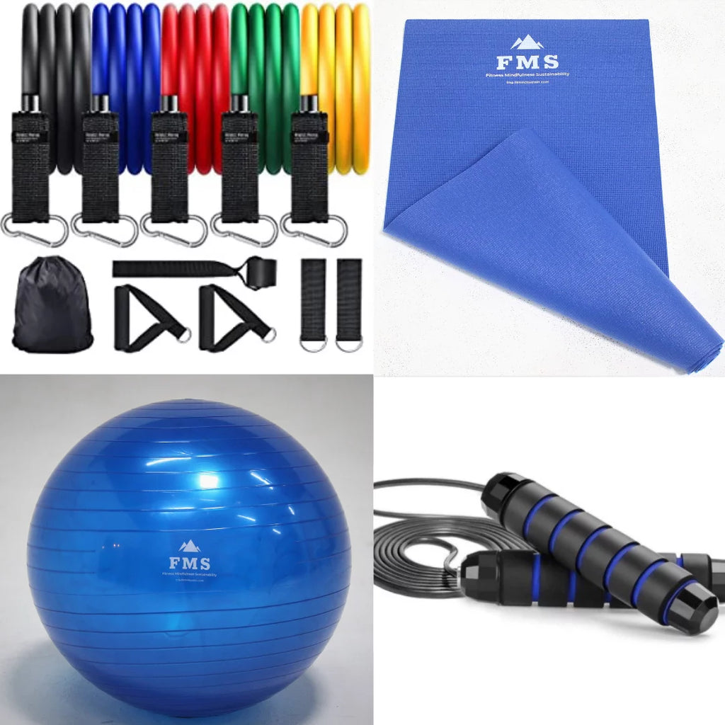Portable Home Gym Set with 11pc Resistance Band Set, Stability Ball, Exercise Mat E6063