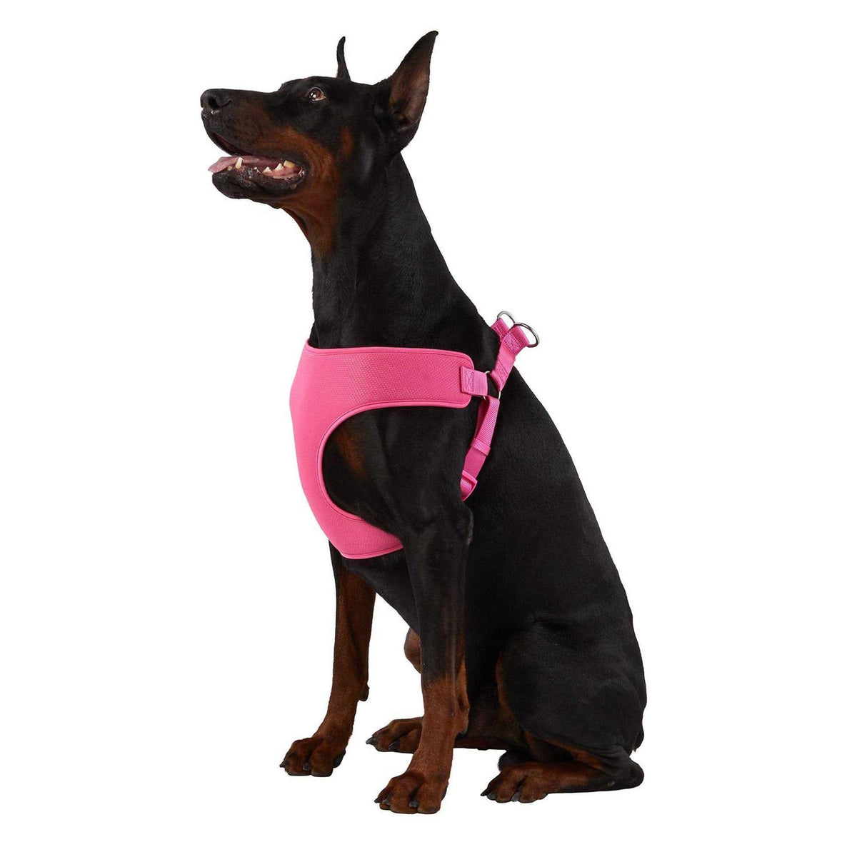 Mesh Dog Harness A7171