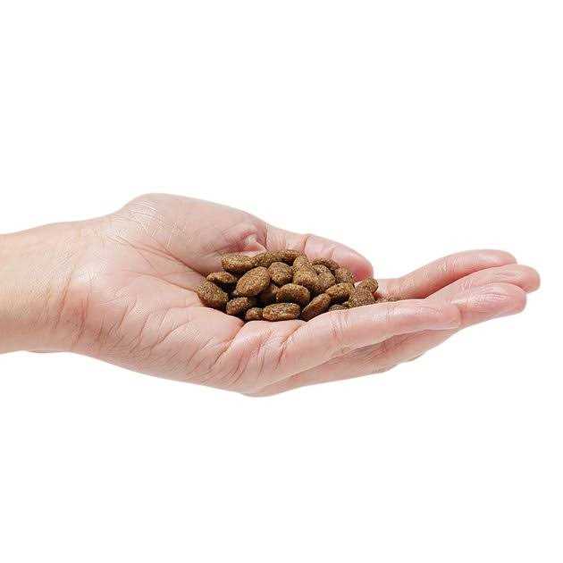 Grain-Free Dog Food H6556