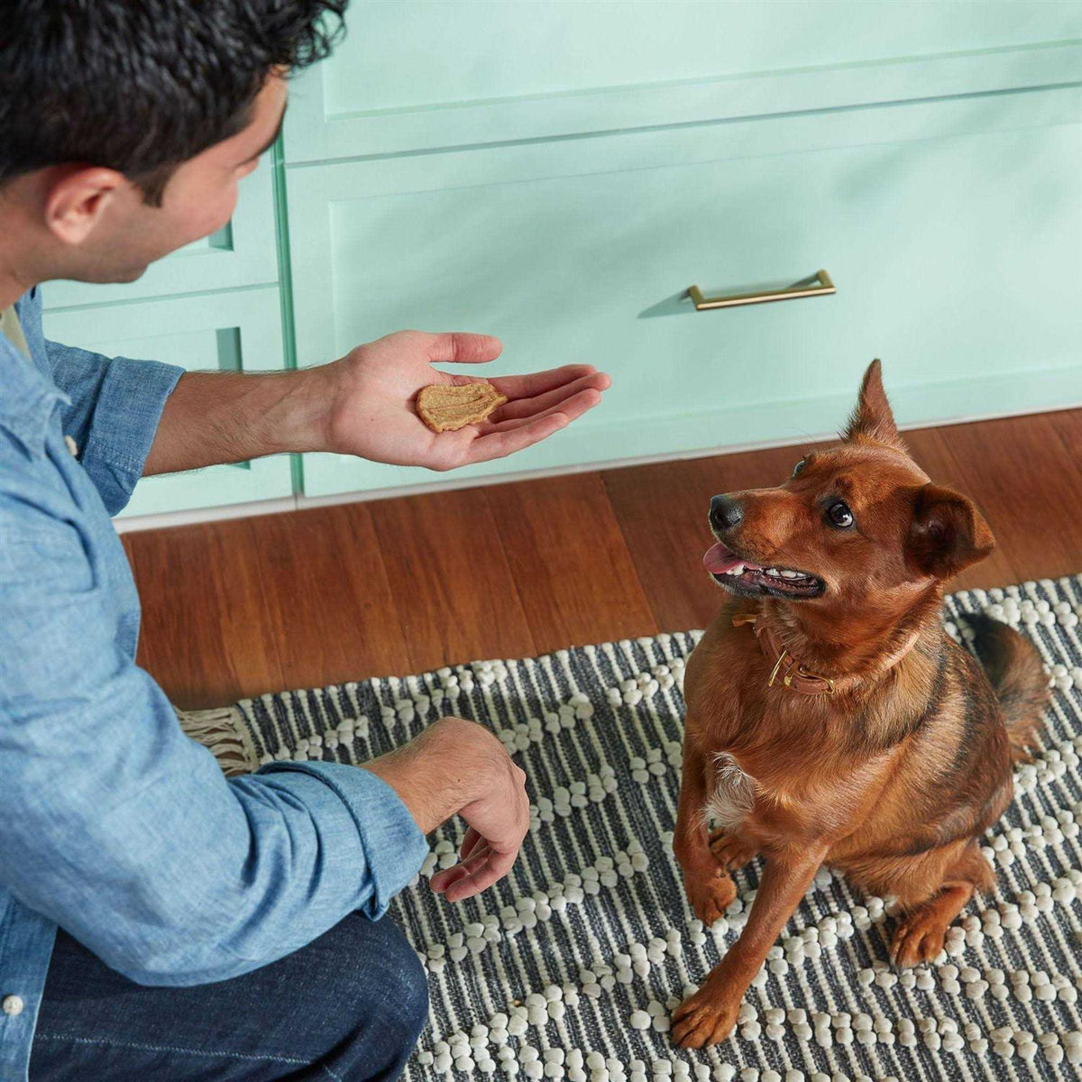 Jerky-Style Dog Treats E51852