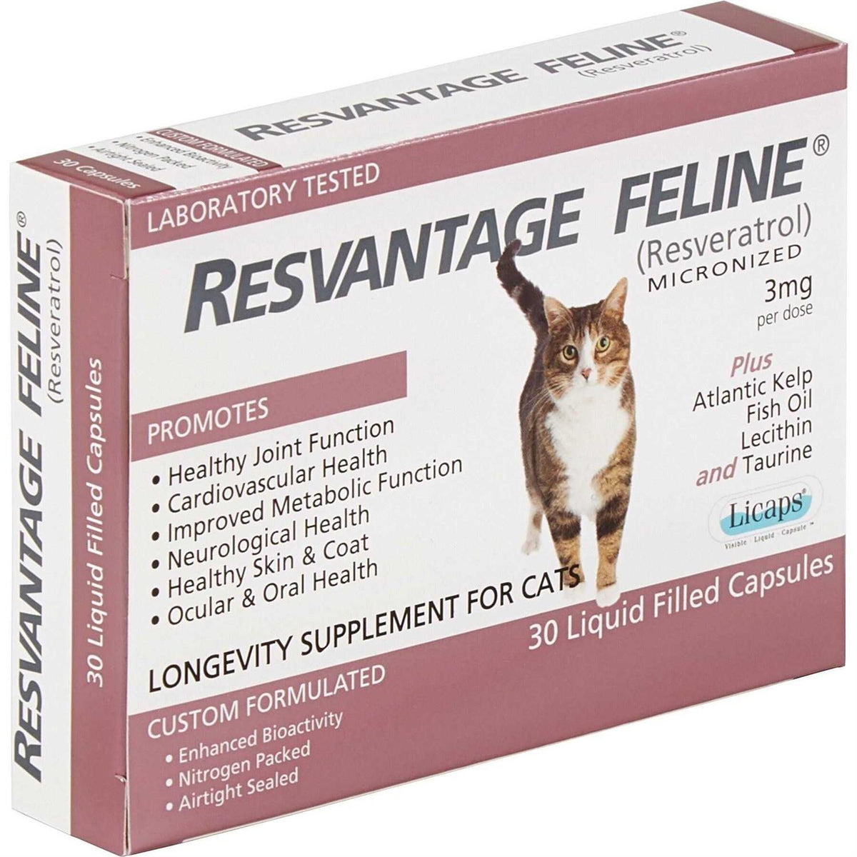Pet Supplies M6391