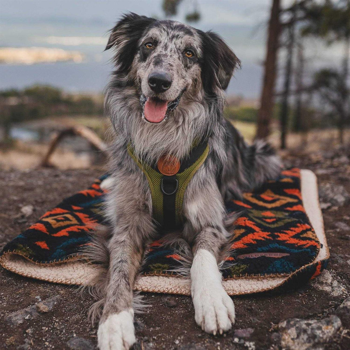 Sherpa Fleece Waterproof Blanket H8613