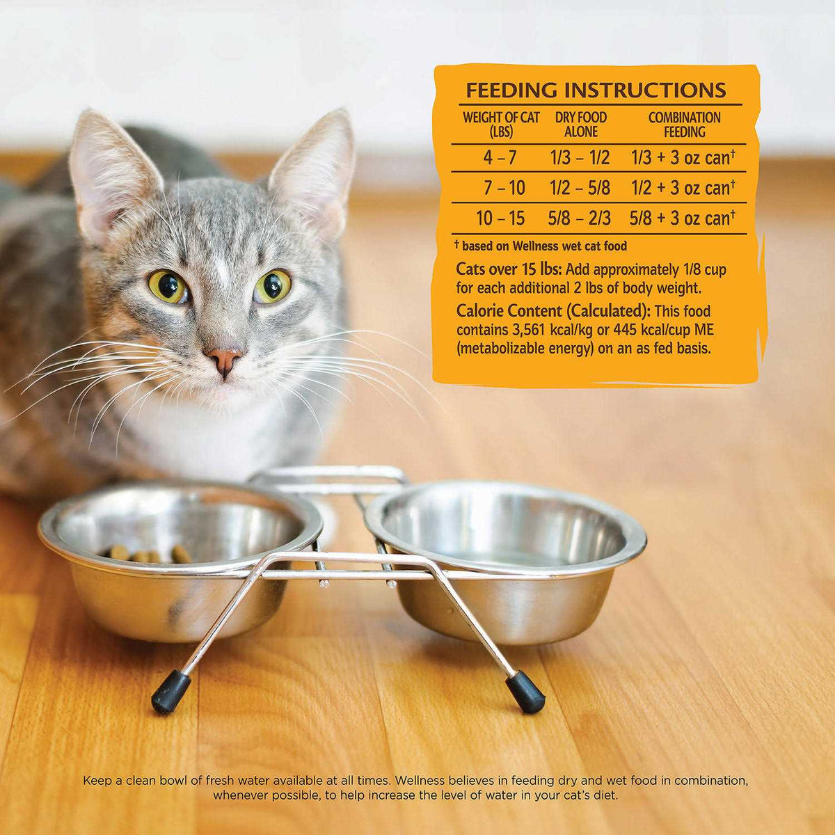 Dry Cat Food B574