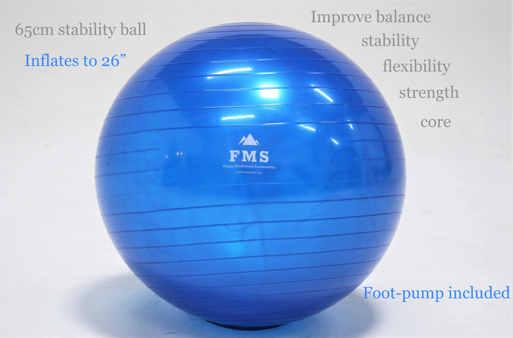 Portable Home Gym Set with 11pc Resistance Band Set, Stability Ball, Exercise Mat E6063