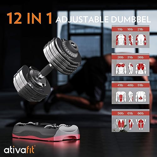 Adjustable Dumbbell Set with Anti-slip Handle C8244