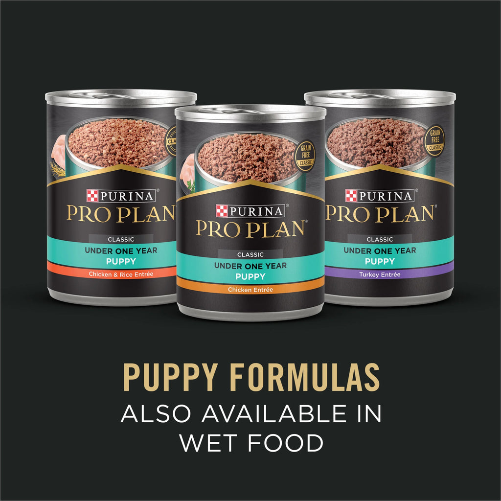 Sensitive Skin and Stomach Puppy Food Lamb and Oat Meal 24 lb. Bag M390074