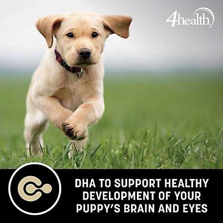 Grain Free Puppy Dog Food I3034