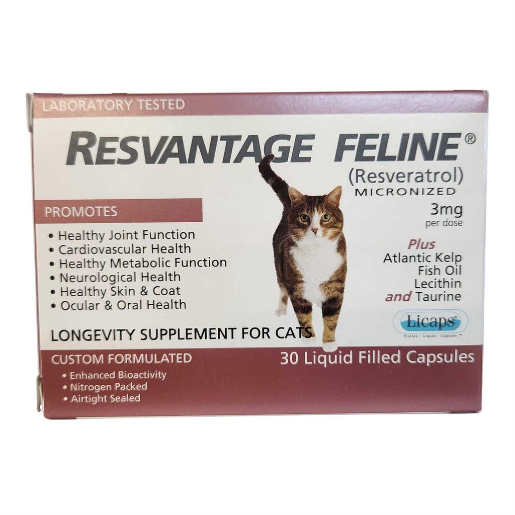Pet Supplies M6391
