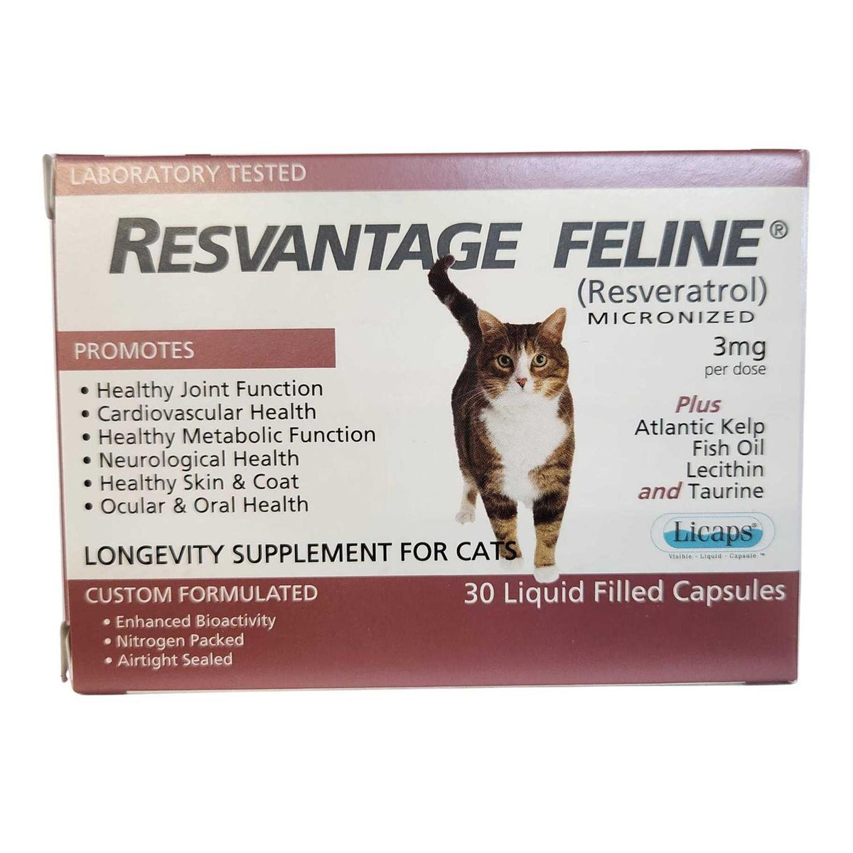Pet Supplies M6391