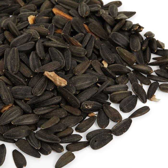 Black Oil Sunflower Seed Wild Bird Food H9274