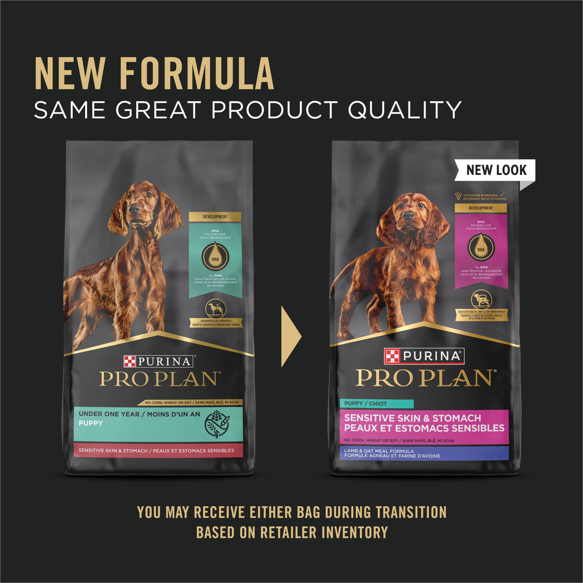 Sensitive Skin and Stomach Puppy Food Lamb and Oat Meal 24 lb. Bag M390074