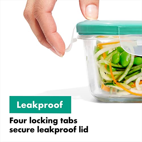 2 Cup Glass Food Storage Container Q493