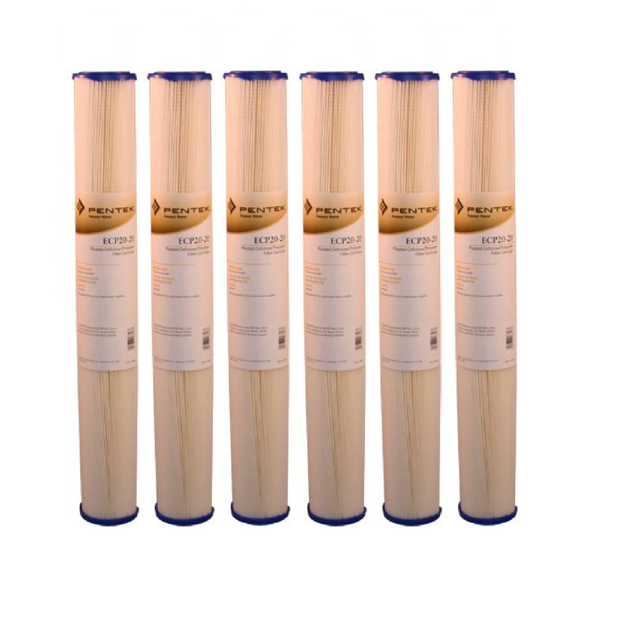 20-Inch Pleated Water Filters 6-Pack W1070