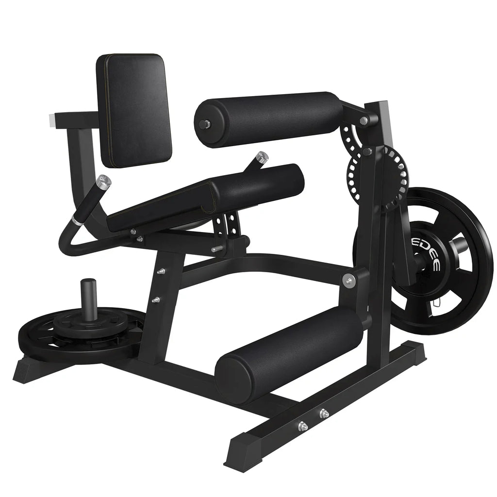 Adjustable Leg Extension and Curl Machine D6849