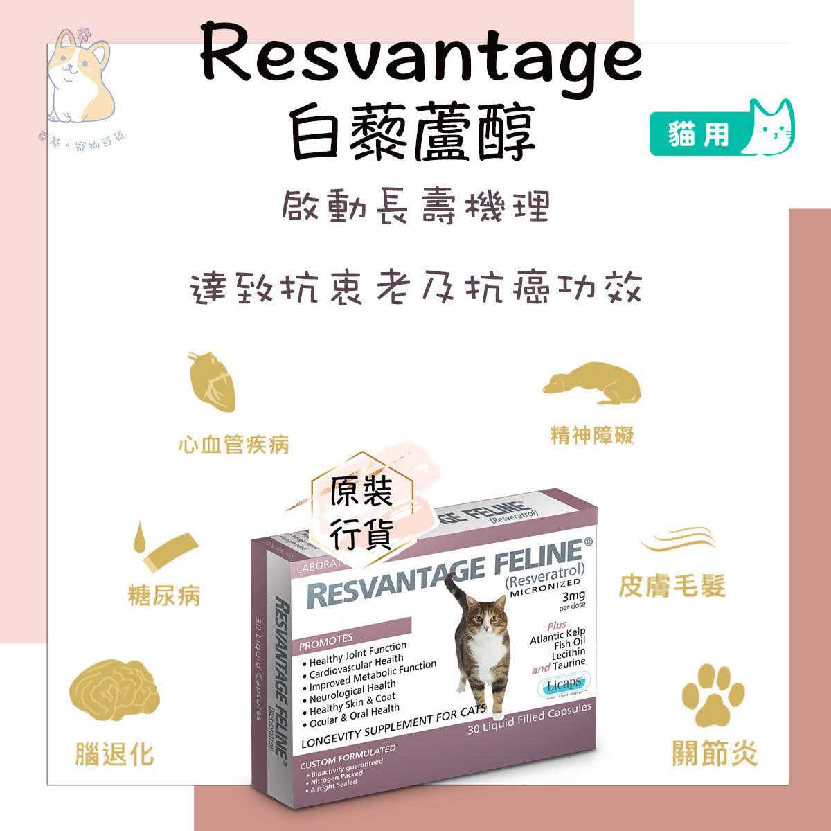 Pet Supplies M6391