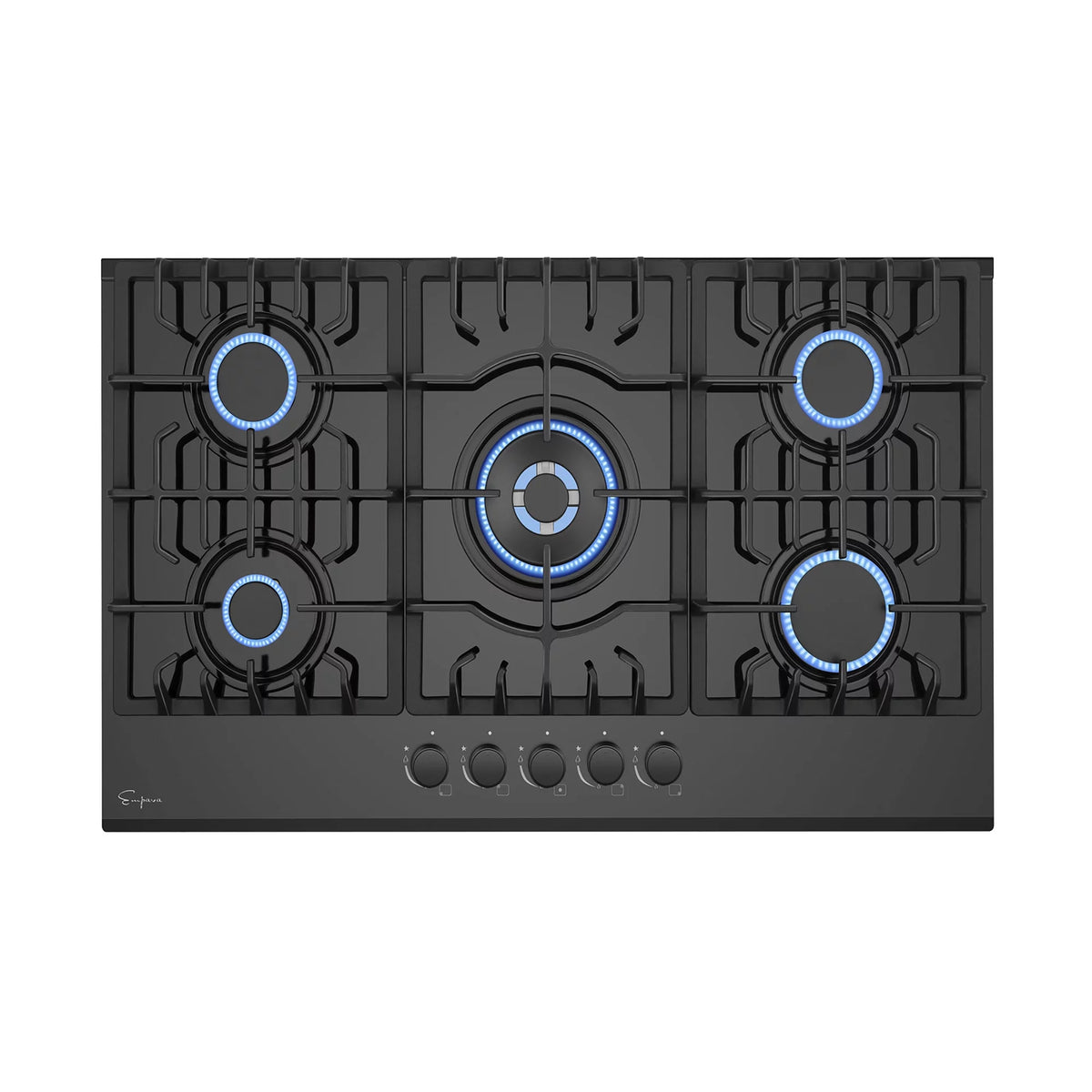 2 Piece Kitchen Appliances Packages with Gas Cooktop and Range Hood R8349