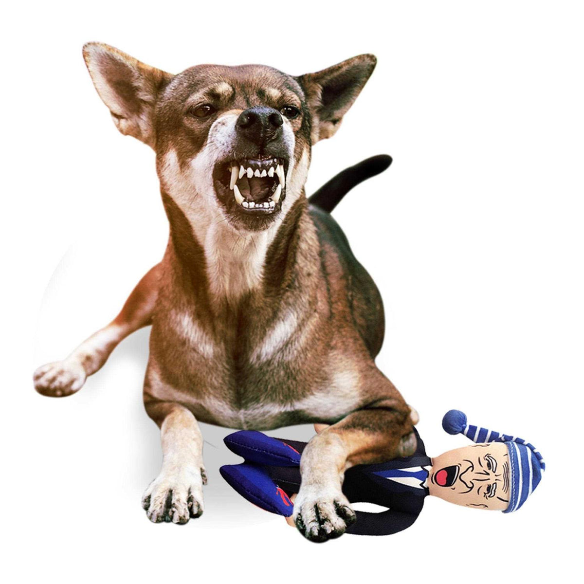 Plush Dog Chew Toy with Squeaker S1013