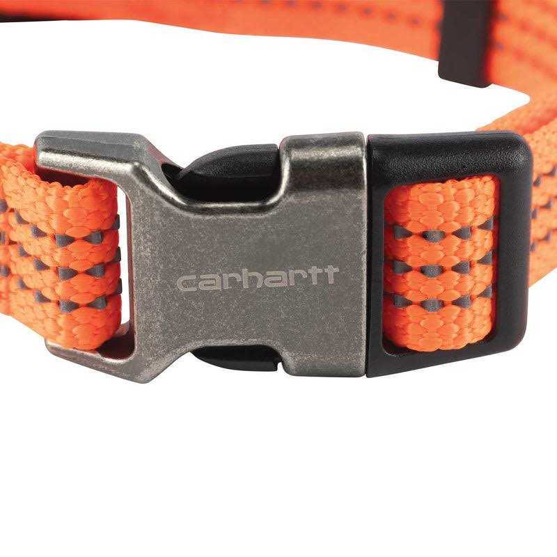 Dog Collar Z9813