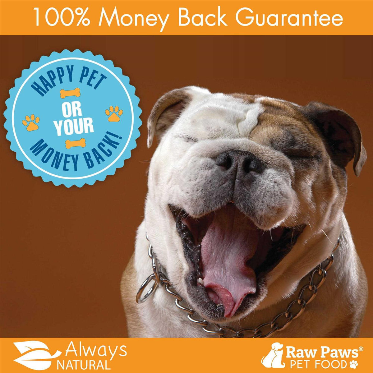 Organic Kelp for Dogs & Cats N737