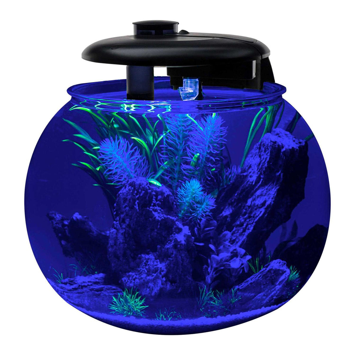 10 Gallon Bowl-Shaped Aquarium T953812
