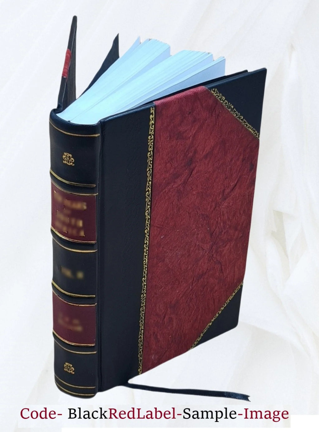 Leather Bound N5317