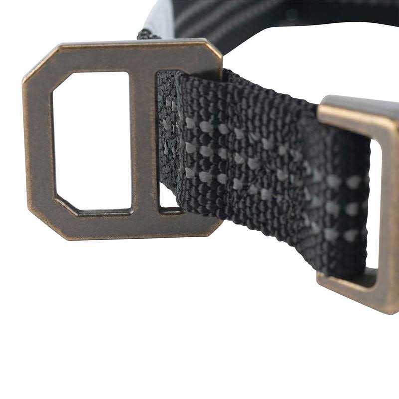 Dog Collar Z9813