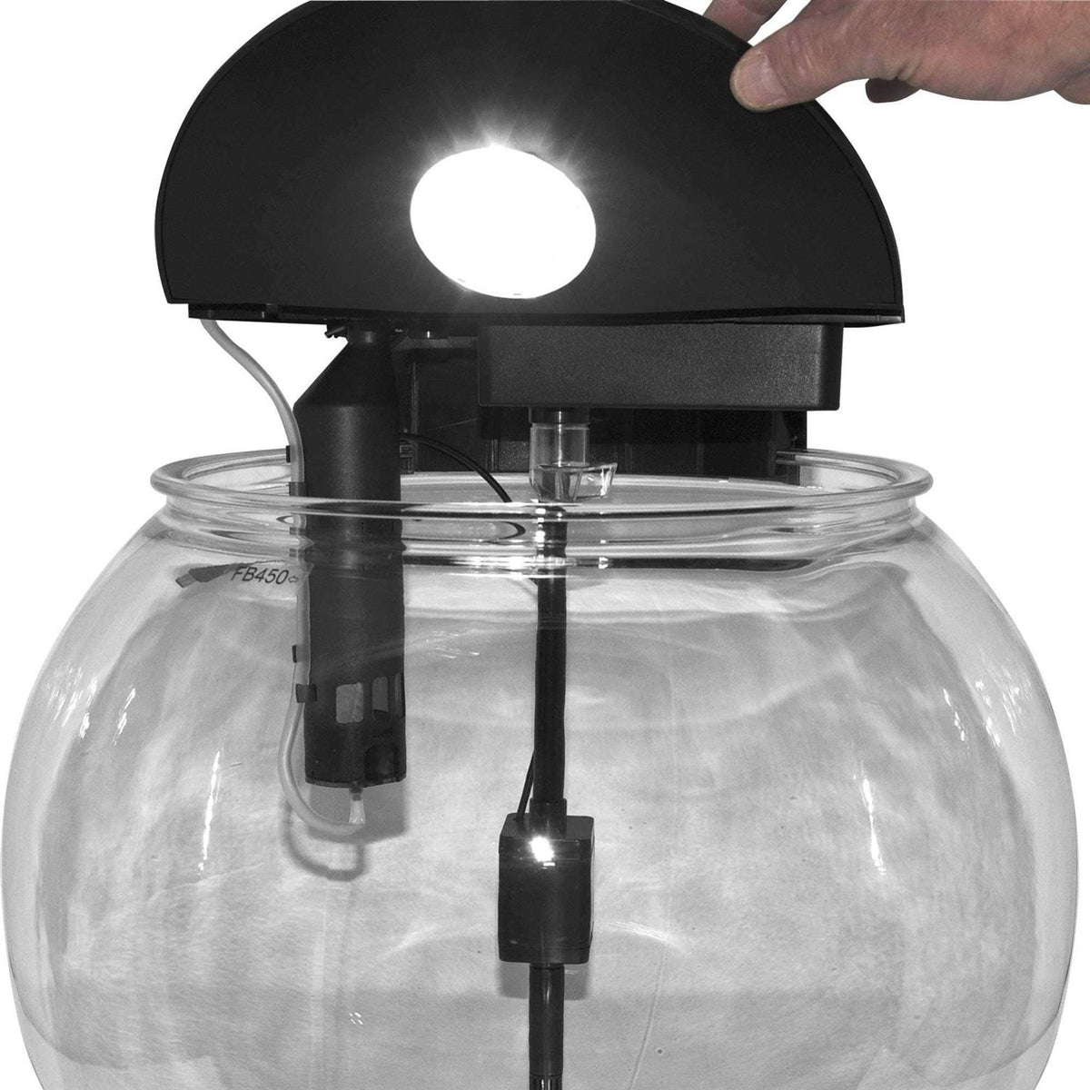 10 Gallon Bowl-Shaped Aquarium T953812