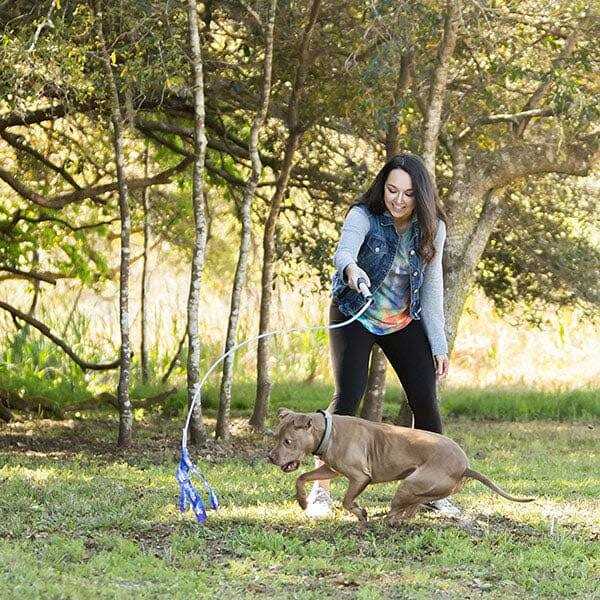 Dog Toy with Lure T362