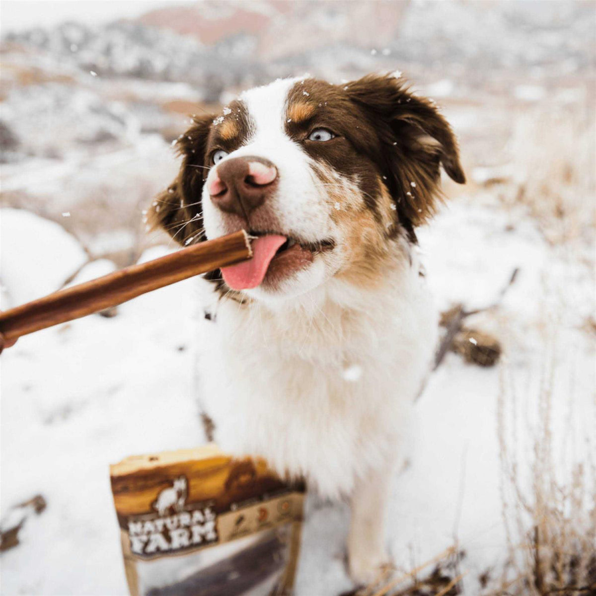 Bully Sticks Odor Free S69087